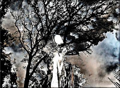 Presence fantome.jpg